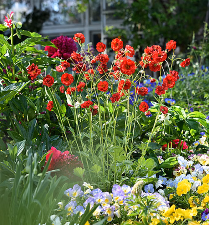 e9f9223d859703993ffa85a92967069f