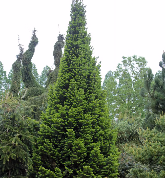 ea0136f81689880943dd73915b73598f