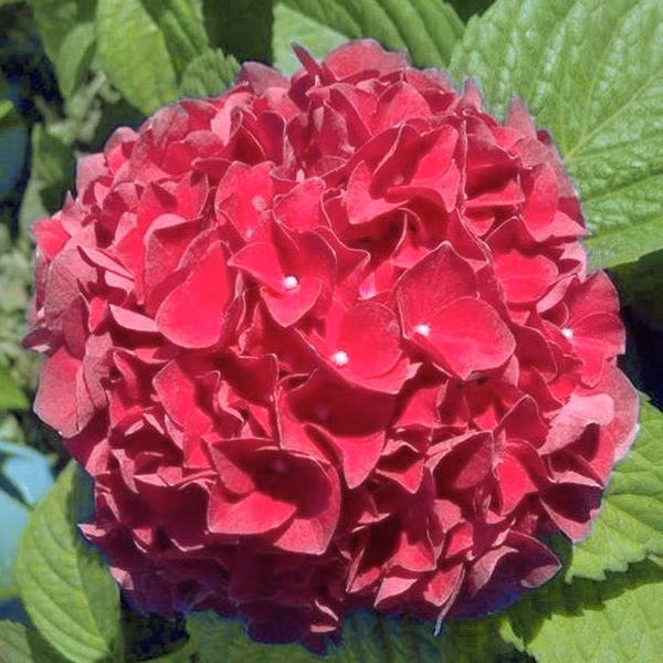 ea04fb6128f446b5a4a422619e7674af