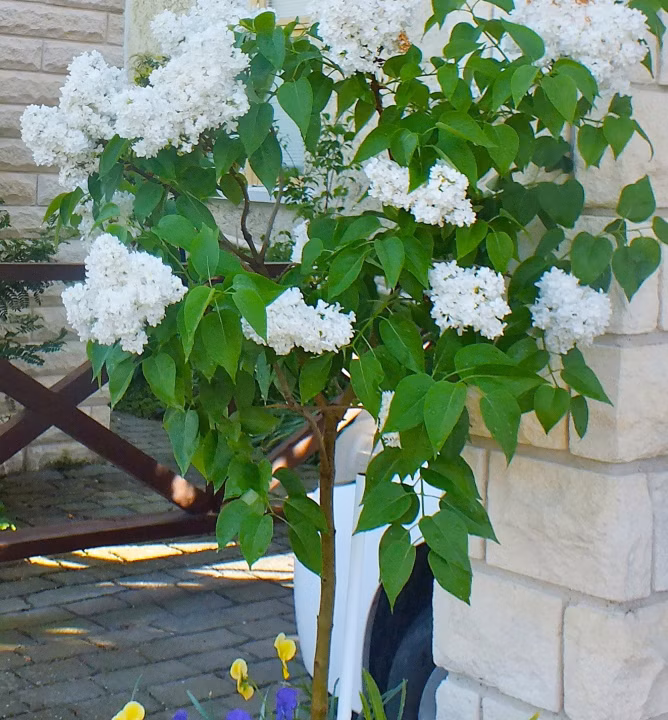 ea189e50887613d99e912820954137b5