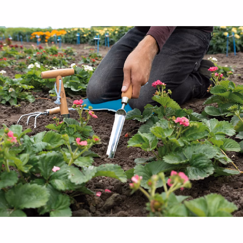 ea18dcb4f5ea52940cc4cd06f1baea2e