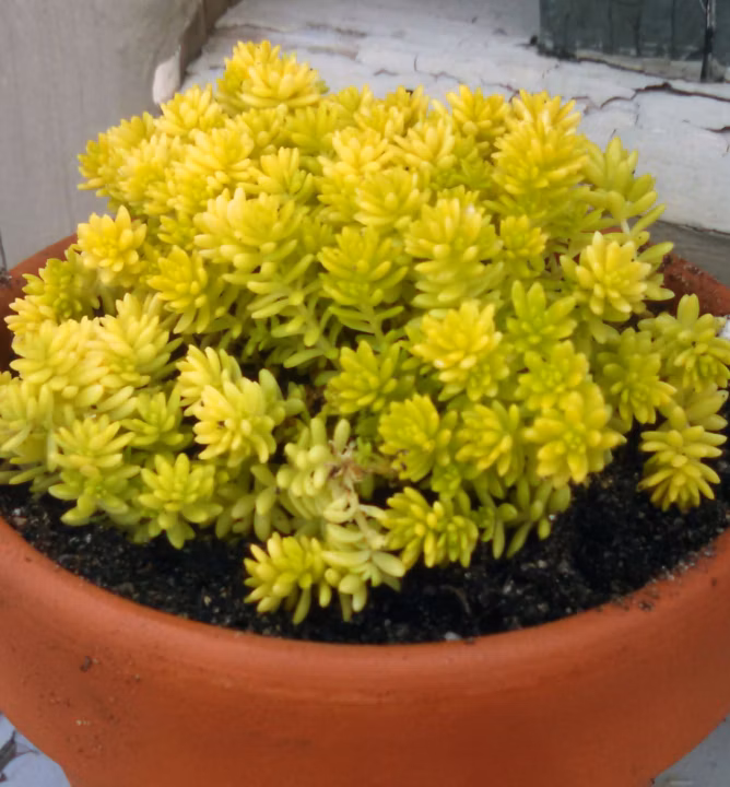 ea2d0abf05de80289bcabea1f946e904