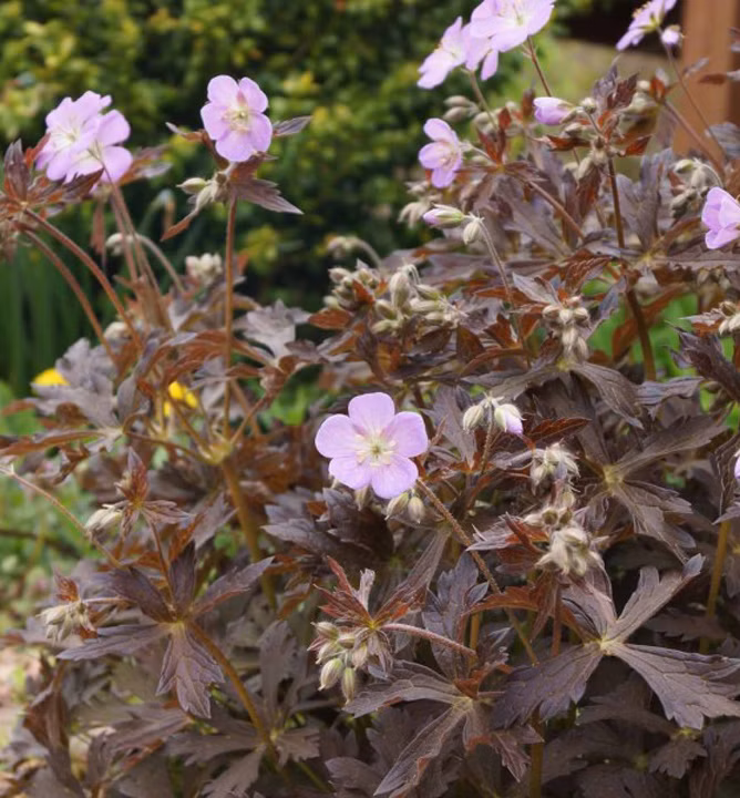 ea58388bafbeaf6b3873c2cb2ac5b217