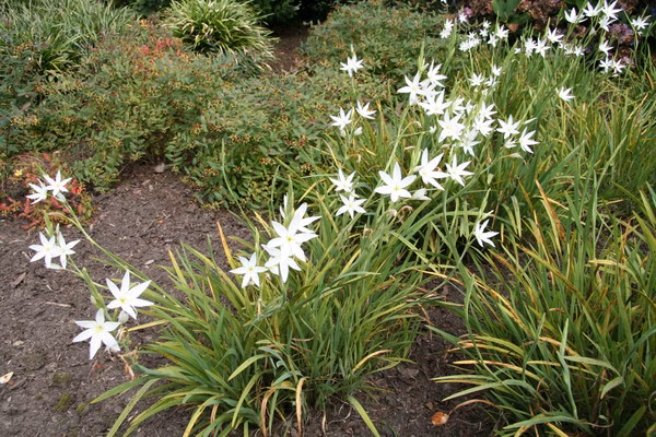 ea5e191131c389b48f5f3dd0f613c9b3