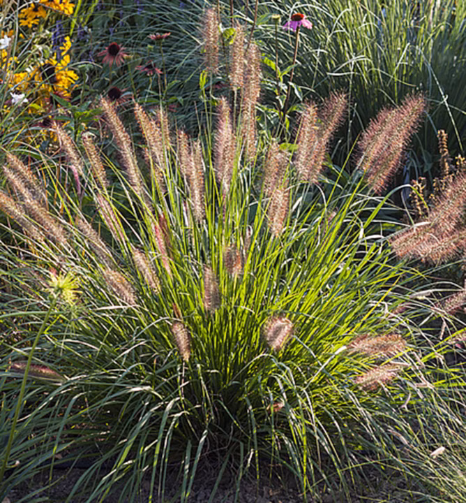 ea843ad56471bce77f76fac8ee062c00