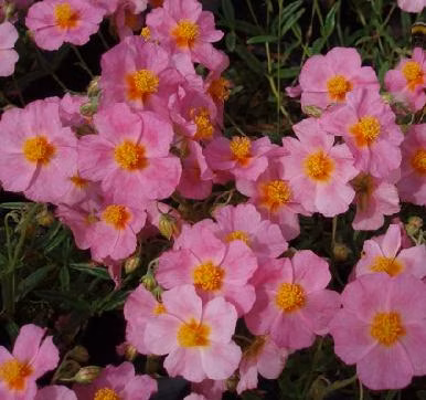 ea95679203b280f54f658abfbfedad77