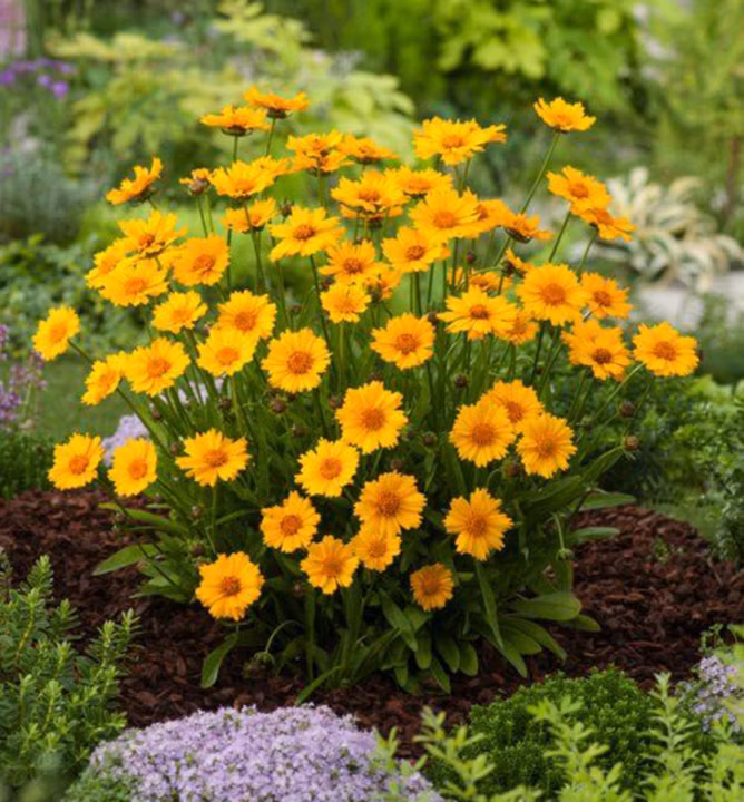 ea95680d29d02af6ab4297ca94ff42e3