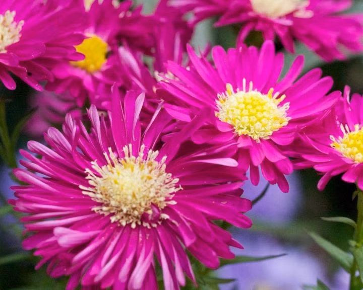 eaed4d5dbfd9ee17ac65263cdb10793c