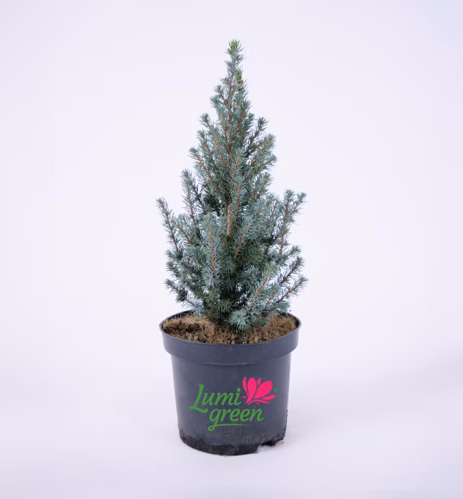 eaf2d6ea062b55b2d2e9c3843112b9d9