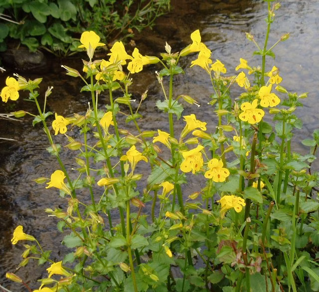 eb1925d32a7b2a0a4ee4cb678a5de2c4