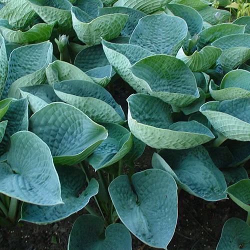 eb42efc728c14cad1e84e66ebbccc57b