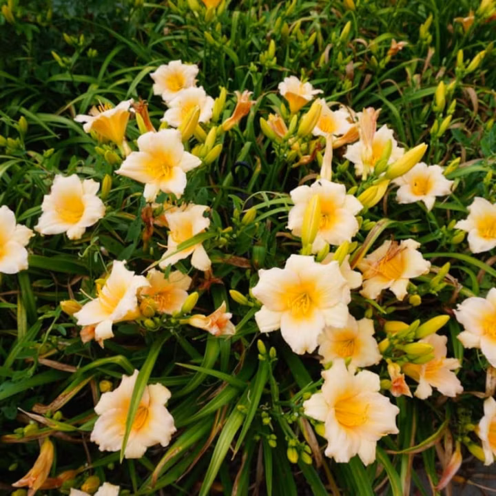 eb6aa749afab65786fab26446078dd9f