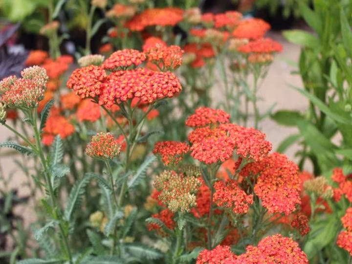 eb6fdc32e1e8bb2b40f75ea170b39562