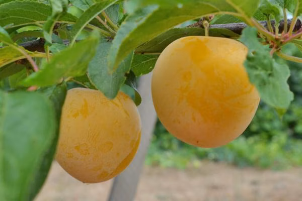 eb74645274fd83e030b199b647282faa