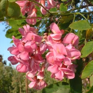 eb86f25aeac002eeb41287f0b7cff91b