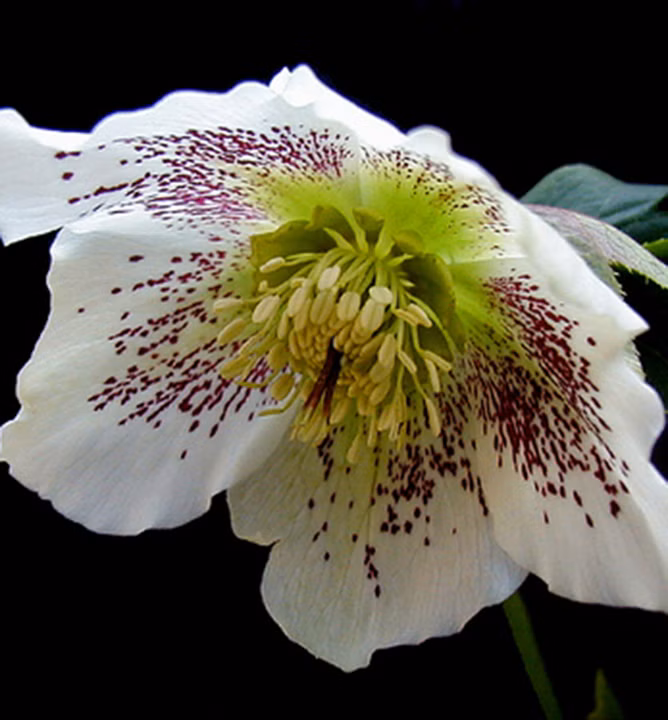 eba4f505e14b8c3f356ffddf3e25ae65