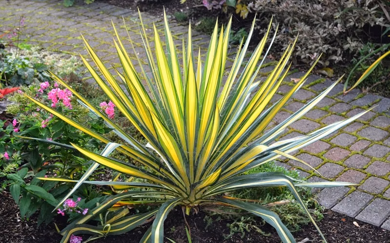 ebc72615c273302d9a44e389b514cf45