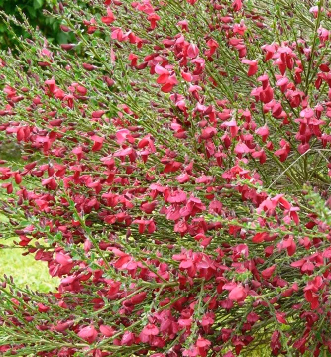 ebcbc69dddef1ecceaeb06e17a27a7b8