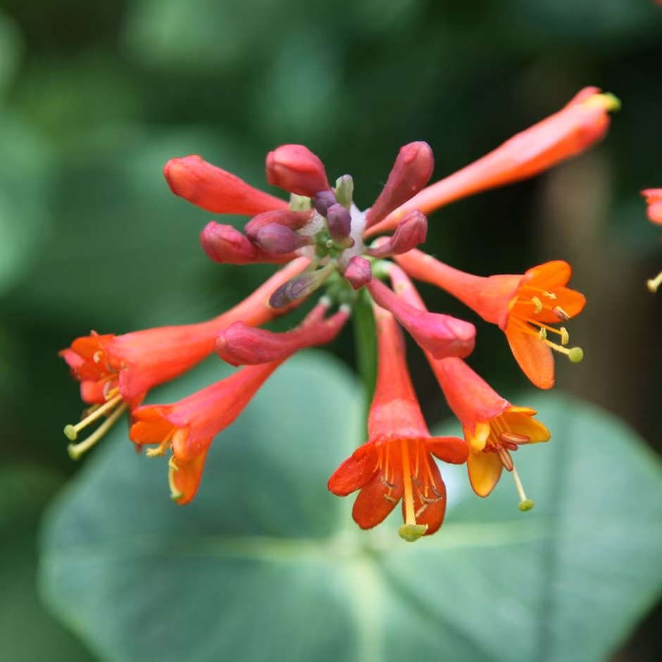 ebfa2629163e9979df264256012007b8