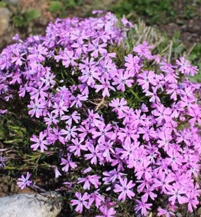 ec06c1a1287531275347b13c90814140