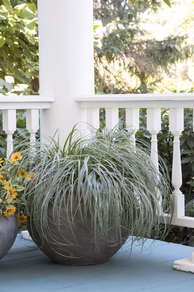 ec08ff4119cfb502e97249478bbbecb5