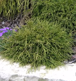 ec3b54a58261188bf095b739bdda8553