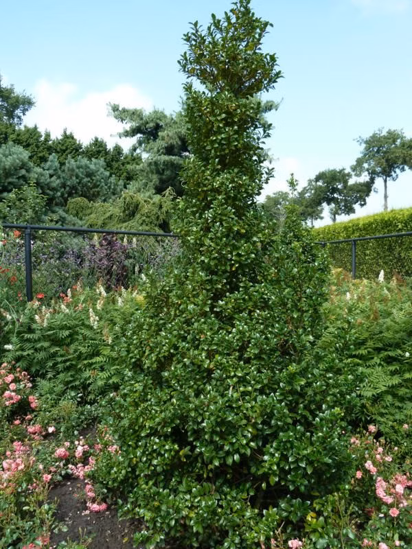 ec51bc14fcd11a09e428c1f10cbd51bb