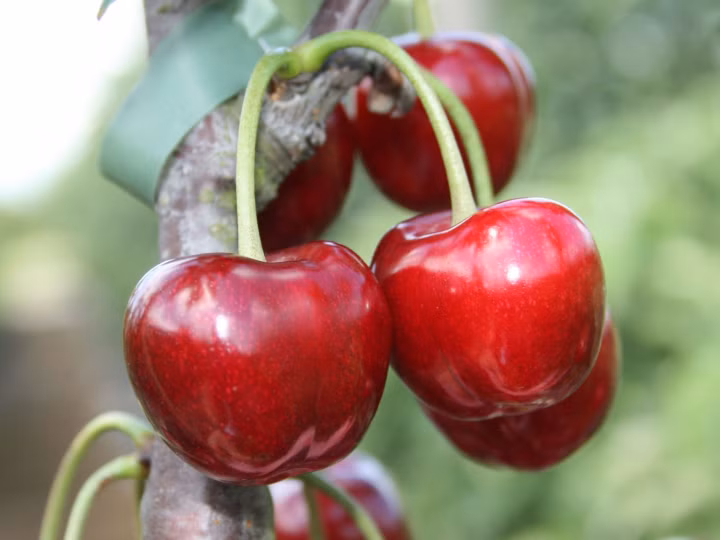 eca925cffde9aa336942c1b7724e9422