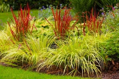 ecd52618c75fd309397f76b87695a636