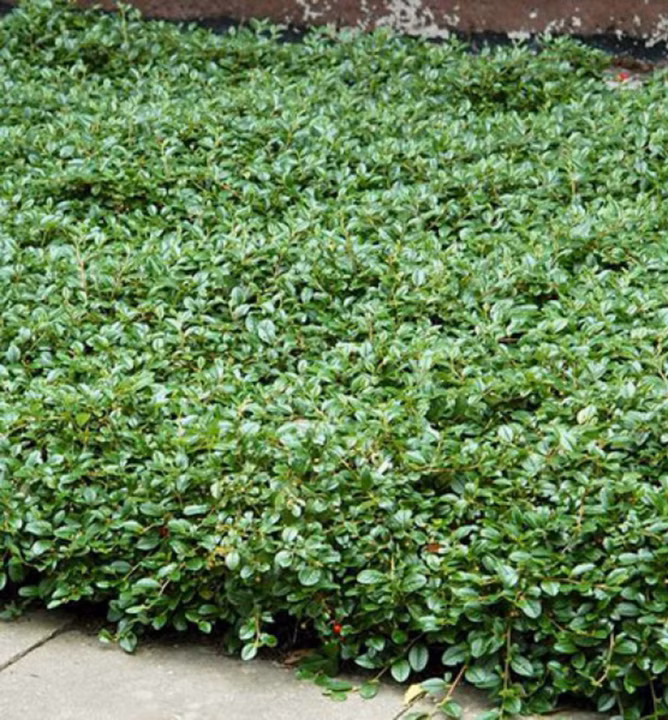 ecef7f04acd6e03c4a7fdb1403e5d4c7