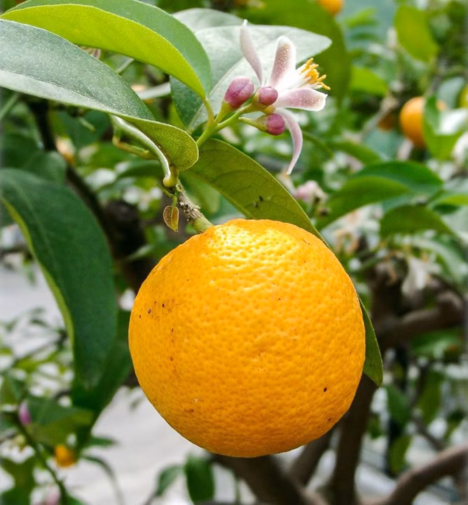 ed237b338bfd8e90a64eff66c841c9bc