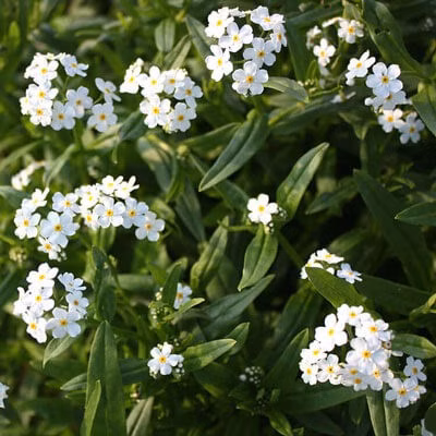 ed27f549487132dfc126d3ae5890dfe8