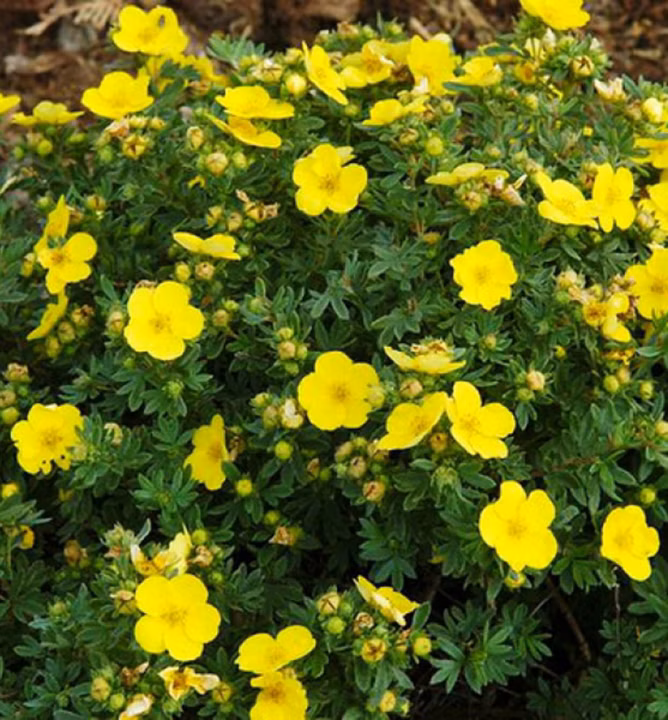 ed43f1b457919cc4a4bab42cafbbd8f6