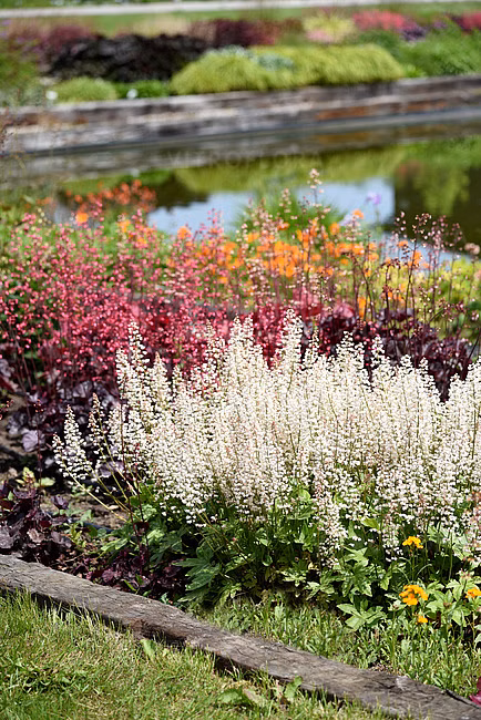 ed45bc1e903a72bd3a7308e6b6b7c7ca