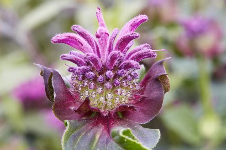 ed655a598239ccbe47b276a671937c5a