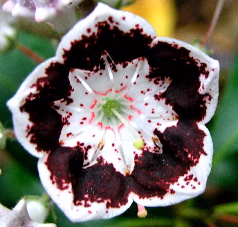 ed6759d722e87b89eee6b73277fabfd3