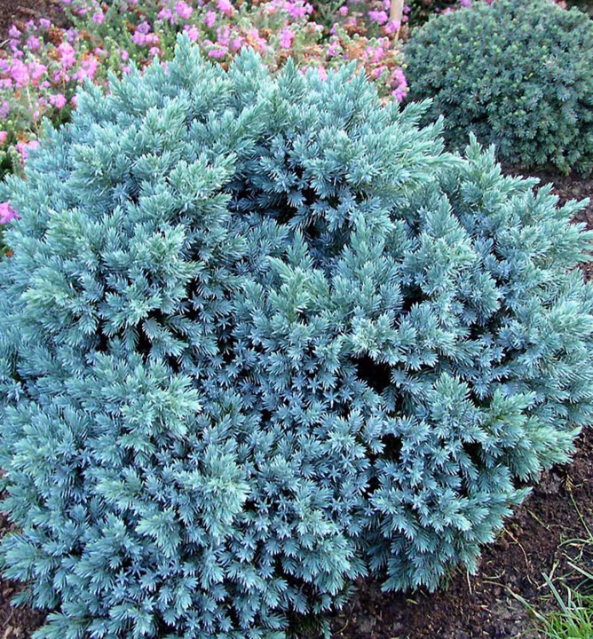 edae281dbcd1915a3937594cbc97b7d1