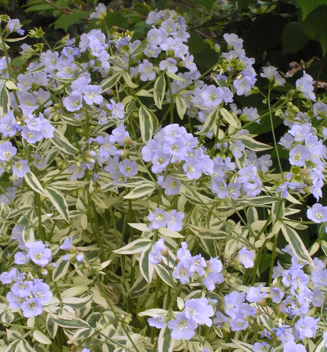 ededac292affed0b60b4202b60f02fac