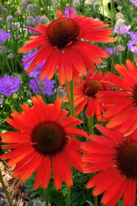 ee05fe26d9395e4d582e706d7ee63f5c