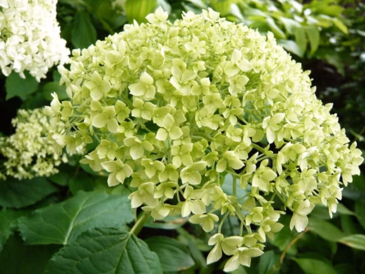 ee1022b33a26687a89f406f725f07f9c