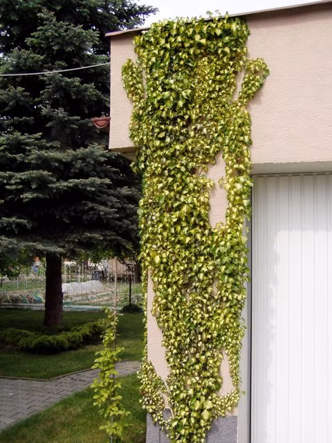 ee1ebe0f5c8b9e30f001a7f01e69e031