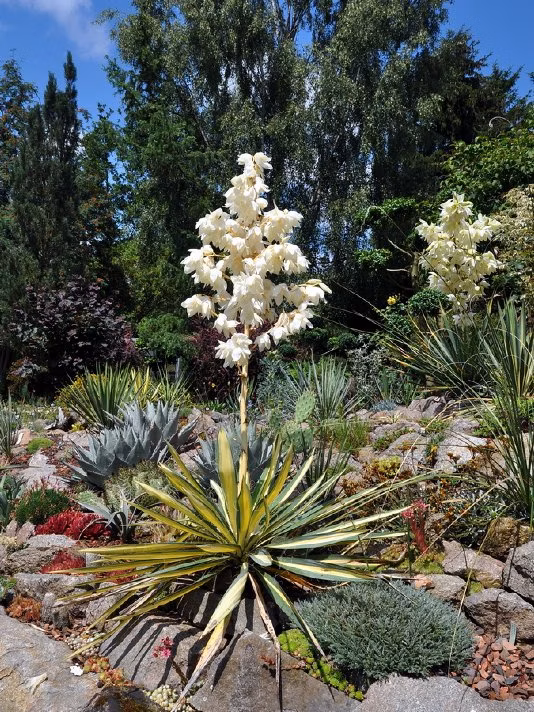 ee63b23eb262c63121e4779021d239df