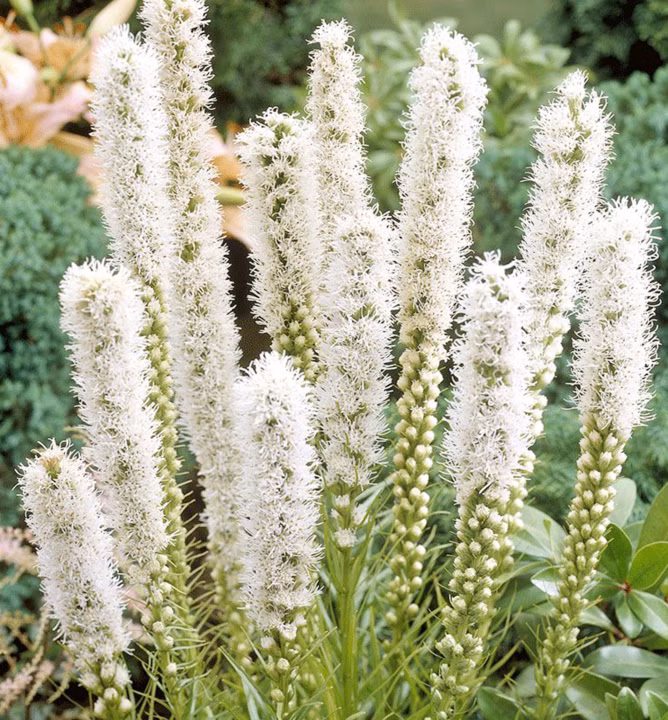 ee71432f7038b1bf87db0e5fa1c622dc