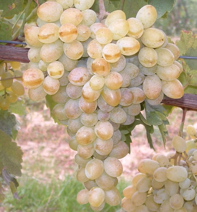 eeb77938361012e2a6eb9414840ef98e