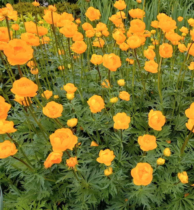 eef7b098ee987094bc7a8634fdd37cf9