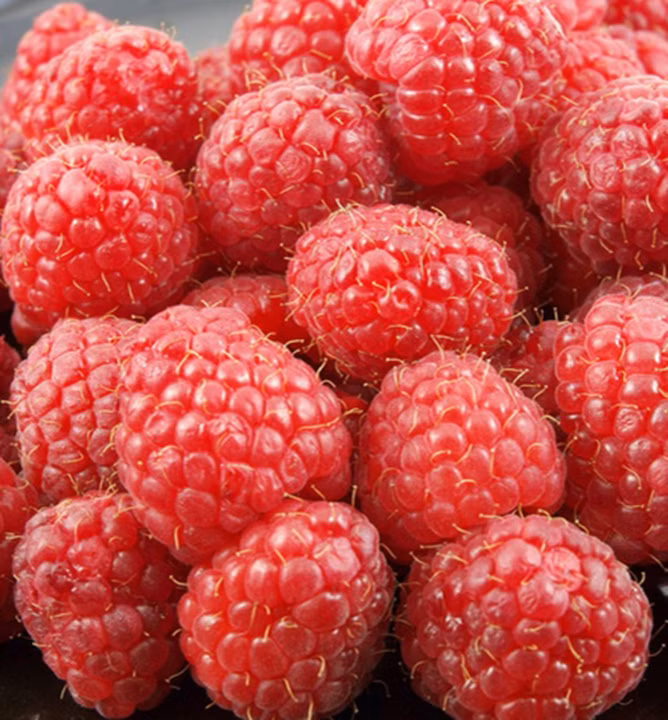 ef0270811d880253719c2725bc699c40