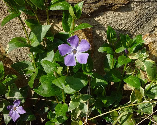 ef22daa9957203844745623c827487b0