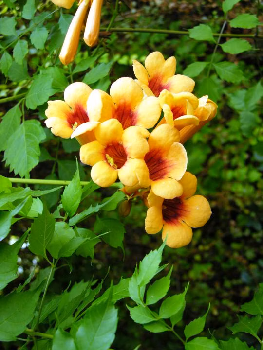 ef297bf814a0e119ad890cf61545e577