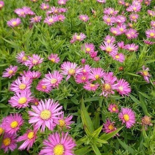 ef367f621938a7fcee72e32c7be470f2