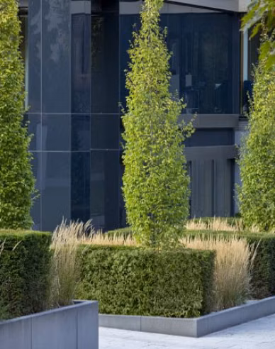 ef50d13b44e9deadc9325d7fd7d1ca45